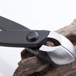 Beginner-bonsai-tool-kit-6-PCS-Long-Handle-Scissors-Round-Edge-Cutter-Root-Pruning-Scissors-Wire-Cutter-Bonsai-Tweezers-0-0