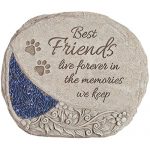 Best-Friends-Comfort-and-Light-Pet-Stone-0