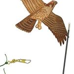BestNest-Jackite-Peregrine-Falcon-Kite-Package-0