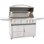 Blaze-44-inch-Professional-Grill-with-Rear-Infrared-Burner-BLZ-4PRO-LP-BLZ-4PRO-CART-Propane-Gas-0-0