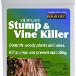 Bonide-Vine-Stump-Killer-With-Applicator-Concentrate-8-Oz-0-0