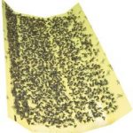 CatchMaster-925-Replacement-Glue-Boards-for-911-Trap-25-pk-0
