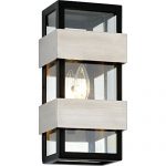 Dana-Point-Light-Outdoor-Wall-Sconce-Clear-Glass-0