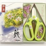 Flower-Scissors-Hand-Creation-F-170-limited-color-Light-Green-0-1