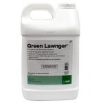Green-Lawnger-Turf-paint-restors-natural-green-color-to-dormant-turf-6666052-0