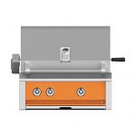 Hestan-Aspire-30-inch-Built-in-Propane-Gas-Grill-with-Sear-Burner-Rotisserie-Citra-Embr30-lp-or-0