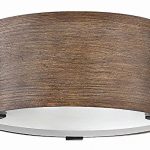 Hinkley-29201SQ-Transitional-Two-Light-Outdoor-Flush-Mount-from-Sawyer-collection-in-BronzeDarkfinish-0