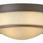 Hinkley-3223OB-GU24-Transitional-Two-Light-Flush-Mount-from-Hathaway-collection-in-BronzeDarkfinish-0