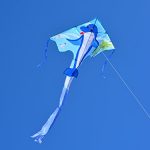 In-the-Breeze-Dolphin-Fly-Hi-Delta-Kite-0-0