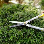 Jardineer-2Pcs-Garden-Shears–Heavy-Duty-Hedge-Clipper-and-Cut-Easy-Hand-Pruner-Garden-Tools-for-Trimming-and-Pruning-Ideal-Garden-Gifts-1-Year-Warranty-0-0