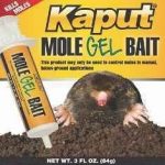 Kaput-Mole-Gel-Bait-2-boxes-3-oz-tube-KAP002-0