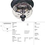 Maxim-40429WGOB-Carriage-House-2-Light-Outdoor-Ceiling-Mount-Oriental-Bronze-Finish-Water-Glass-Glass-CA-Incandescent-Incandescent-Bulb-60W-Max-Dry-Safety-Rating-Standard-Dimmable-Fabric-Shade-Materia-0-0