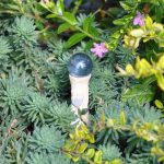Miniature-Fairy-Garden-Gazing-Balls-Tulip-Assorted-0-0