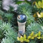 Miniature-Fairy-Garden-Gazing-Balls-Tulip-Assorted-0