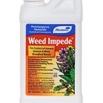 Monterey-Weed-Impede-Surflan-Herbicide-Monterey-Lawn-Garden-Pre-Emergent-Herbicides-Qt-0