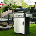 Napoleon-T325SBPK-Triumph-Propane-Grill-with-2-Burners-Black-and-Stainless-Steel-0-2