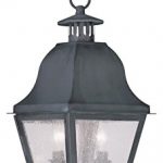 Outdoor-Pendants-2-Light-Amwell-with-Seeded-Glass-Charcoal-Size-9-in-120-Watts-World-of-Crystal-0