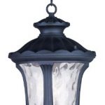Outdoor-Pendants-2-Light-with-Clear-Water-Glass-Black-Size-11-inch-180-Watts-World-of-Crystal-0