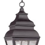Outdoor-Pendants-2-Light-with-Clear-Water-Glass-Bronze-Size-8-in-120-Watts-World-of-Crystal-0