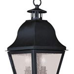 Outdoor-Pendants-2-Light-with-Seeded-Glass-Black-Finish-Size-9-inch-120-Watts-World-of-Crystal-0