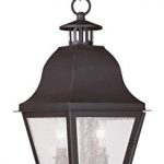 Outdoor-Pendants-2-Light-with-Seeded-Glass-Bronze-Finish-Size-9-in-120-Watts-World-of-Crystal-0
