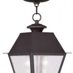 Outdoor-Pendants-2-Light-with-Seeded-Glass-Bronze-Size-9-in-120-Watts-World-of-Crystal-0