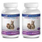 PET-SUPPLEMENTS-cat-vitamins-and-supplements-senior-CATS-ULTRA-VITAMINS-PREMIUM-VITAMINS-AND-MINERALS-CHEWABLE-cat-mineral-supplement-2-Bottle-240-Chews-0