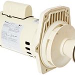 Pentair-075255-Power-End-Motor-Sub-Assembly-Replacement-WhisperFlo-Pool-and-Spa-Pump-0