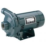 Pentair-Sta-Rite-JBMMG-59S-Single-Phase-Cast-Iron-Centrifugal-Pump-and-Motor-Assembly-2-12-HP-0