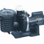 Pentair-Sta-Rite-P6EAA6G-208L-Max-E-Pro-Energy-Efficient-Single-Speed-Up-Rated-Pool-and-Spa-Pump-2-12-HP-230-Volt-0