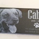 Personalised-Personalized-Pet-Stone-6×12-and-Stand-Human-Animal-Family-Temporary-Marker-0-1