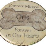 Personalized-Pet-Memorial-Step-Stone-11Diameter-Forever-Missed-Forever-in-Our-Hearts-0