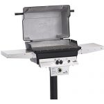 Pgs-T-series-T40-Commercial-Cast-Aluminum-Natural-Gas-Grill-With-Timer-On-In-ground-Post-0