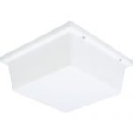 Progress-Lighting-P5791-Impact-Resistant-Fixture-As-Wall-Or-Ceiling-Mounted-with-Polycarbonate-Diffuser-0