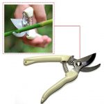 Pruning-Shears-garden-manual-Bonsai-Plant-Scissors-Branch-Pruner-Snip-Hand-Tool-0-2