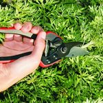 Pygar-Incorporated-Felco-160s-Small-Pruner-8in-F-160s-0-1