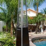 Pyramid-Heater-Patio-Heaters-Natural-Gas-Commercial-Glass-Tube-Patio-Heater-0-0