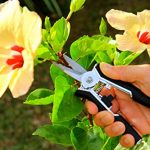 RAZOR-SHARP-SNIP-GB6-Clean-Cut-Professional-Trimmer-by-Garden-Guru-Lawn-and-Garden-Tools-Super-Sharp-Stainless-Steel-Blades-Easy-on-Arthritic-Hands-Soft-Ergonomic-Rubber-Handles-Life-Time-Full-Replace-0-2