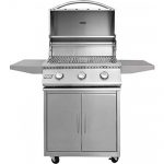 Rcs-Premier-Series-26-Inch-Built-in-Natural-Gas-Grill-Rjc26a-0-0