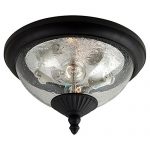 Sea-Gull-Lighting-Two-Light-Outdoor-Close-to-Ceiling-Fixture-0