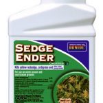 Sedge-Ender-Concentrate-0-0