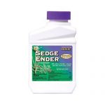Sedge-Ender-Concentrate-0