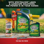 Spectracide-Weed-Grass-Killer2-AccuShot-Sprayer-133-Gallon-4-Pack-0-2