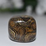 Stromatolite-Tumbled-14-lb-0-1