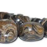Stromatolite-Tumbled-14-lb-0