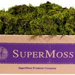 SuperMoss-Sheet-Moss-Mini-Shredded-Preserved-0