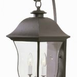 Transglobe-Lighting-4971-WB-Outdoor-Wall-Light-with-Beveled-Glass-Shades-Weathered-Bronze-Finished-0