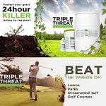 Triple-Threat-Selective-Weed-Killer-Herbicide-for-Lawns-and-Turf-1-Gallon-Jug-Makes-64-Gallons-0-1