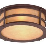 Troy-Lighting-Aspen-2-Light-Outdoor-Flush-Mount-Natural-Bronze-Finish-with-Seeded-Amber-Etched-Glass-0