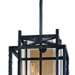Troy-Lighting-Crosby-105-W-2-Light-Pendant-French-Iron-Finish-with-Topaz-Glass-0